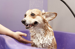 Condomínio Sorocaba